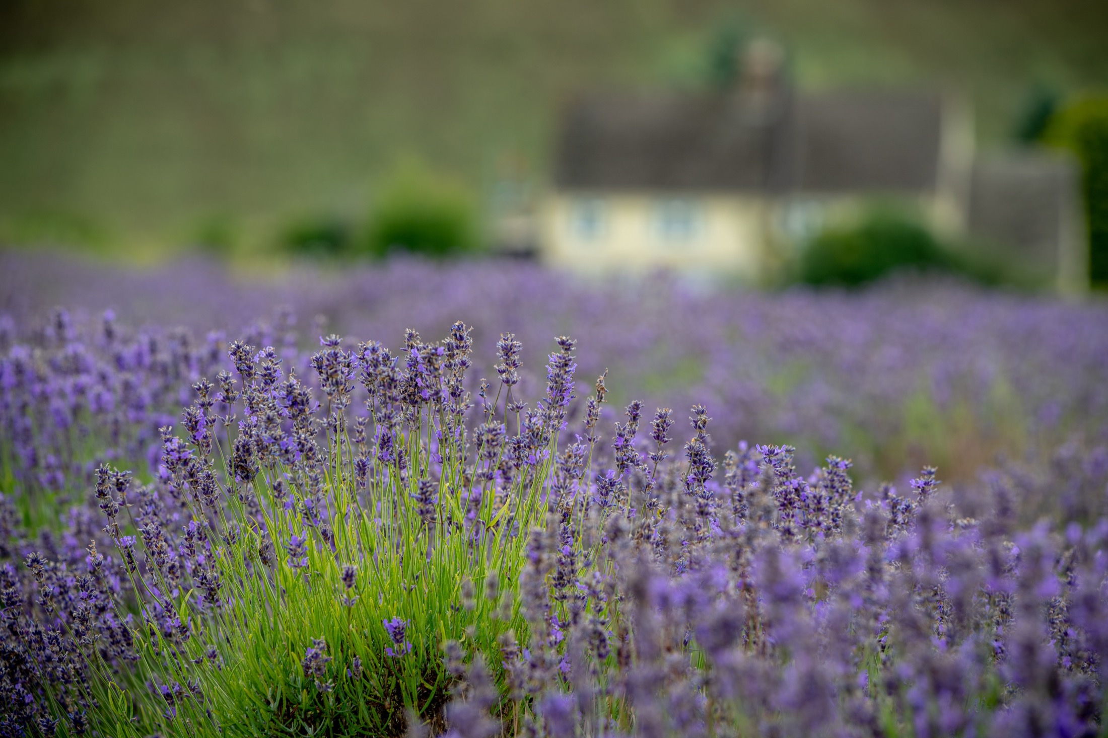 Neatly arranged event table linen